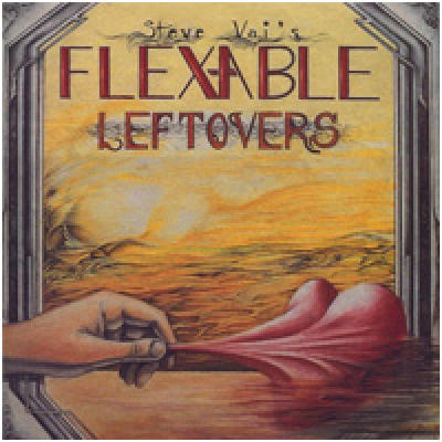 Flexable Leftovers